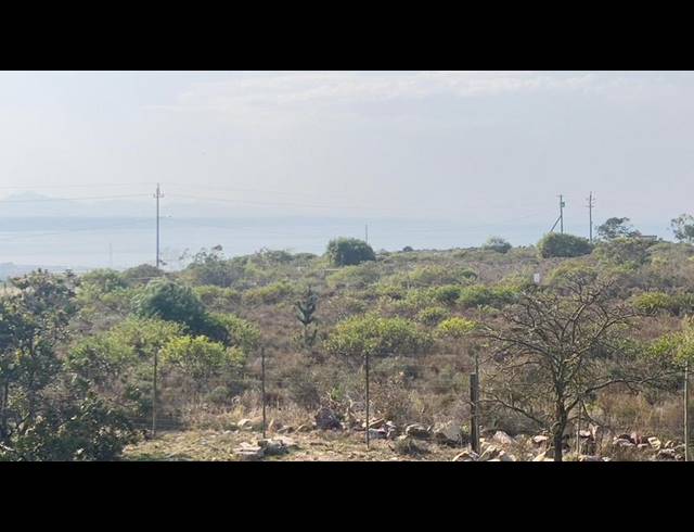 FARM FOR SALE IN AALWYNDAL